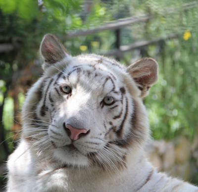 Прикрепленное изображение: IMG_2753.jpg